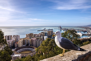 Malaga city view, Spain. View on bullring and harbor.