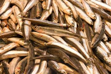 sprat fish on ice exposition sea market. Seafood