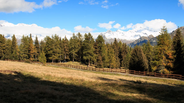 Barmasc - Valle d'Ayas