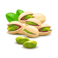 Pistachios nuts isolated on white vector