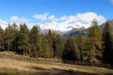 Gruppo del Monte Rosa dalla valle d'Ayas (Valle d'Aosta)