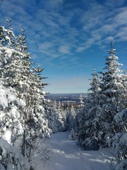 Amazing snowy landscape in quebec