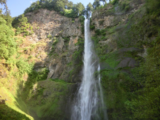 Beautiful Multnomah Falls waterfall in Oregon - landscape photo