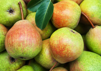 Fresh  pears with green leaves