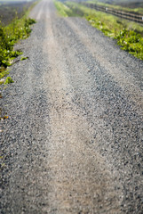 Landscape of a desolate road at dawn