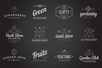 Set of Vector Garden and Farm Elements and Fruits or Vegetables Icons Illustration can be used as Logo or Icon in premium quality