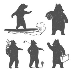 Naklejka premium Vintage Illustration of Bear
