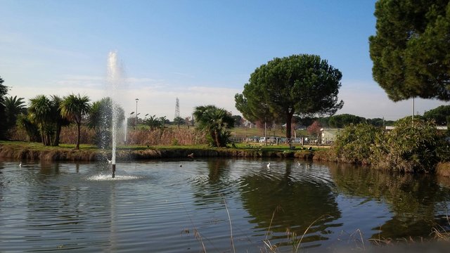 zampillo nel laghetto