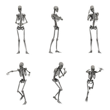 digitally rendered illustration of human skeletons in various poses