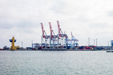 сargo cranes in the port