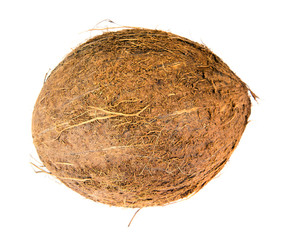 Coconut Isolated on a White Background