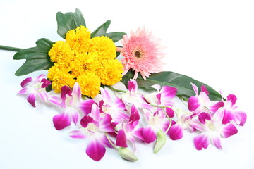 Many species of colorful flowers on a white background.