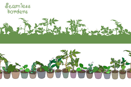 Seamless border with various seedlings and potted plants. Green seamless silhouettes of various seedlings and garden plants. Vector design.