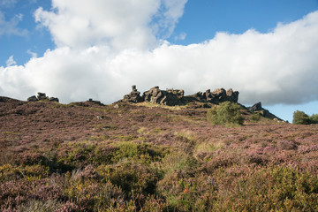 Fototapeta na wymiar Ramshaw rocks in the Staffordshire moorlands on a sunny day