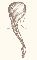 Long braid. Vector drawing