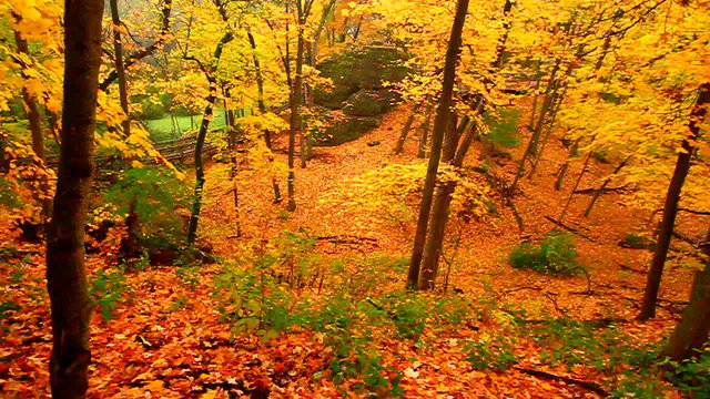 Rock Cut State Park Autumn Landscape in Illinois
