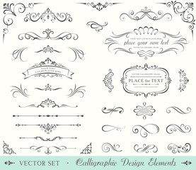 Ornate Frames and Scroll Elements - Powered by Adobe
