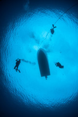 Divers Descend into Blue Water