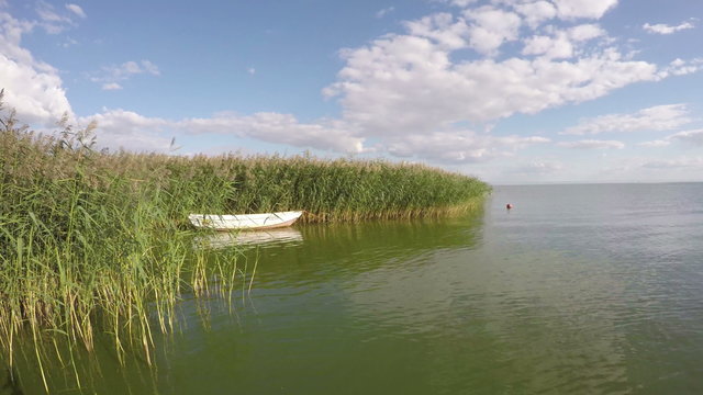 Wooden boat between green reeds growing in the sea bay on sunny cloudy summer's day, time lapse 4K