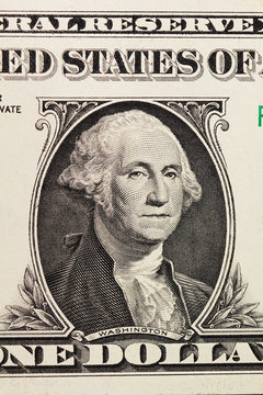 portrait on dollar