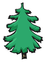 pine, illustration of nature, forest, christmas tree