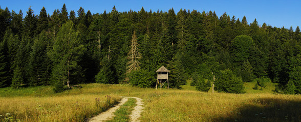 Abandoned lookout tower for hunting in national park Tara in Serbia