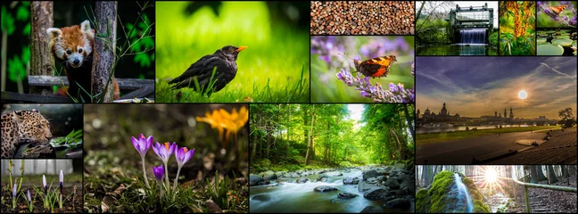 Selbstklebende Fototapeten Collage: Mensch und Natur © iLUXimage