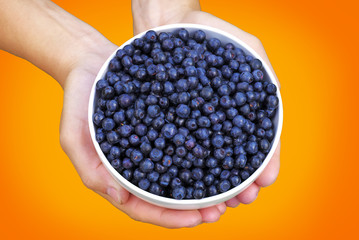 A bowl of blueberries in hands on orange background