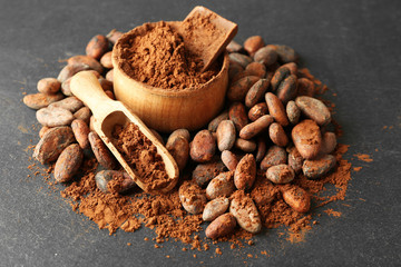 Bowl with aromatic cocoa beans and chocolate on grey background, close up