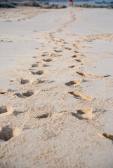 Fototapeta na wymiar Footprints on a beach