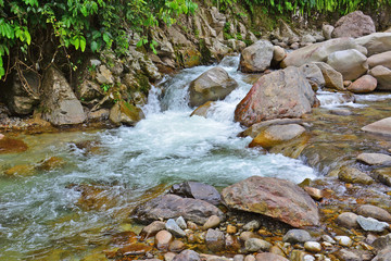 Naklejka na ściany i meble Little stream in the tropical rainforest of Borneo