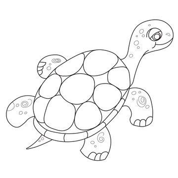 Illustration of the floating turtle