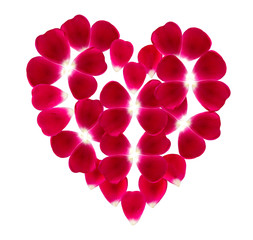 Beautiful heart created of pink rose petals.
