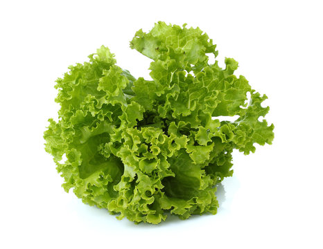 lettuce on white background,