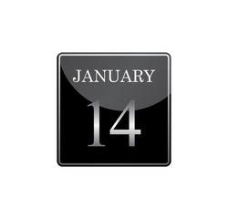 14 january calendar silver and glossy