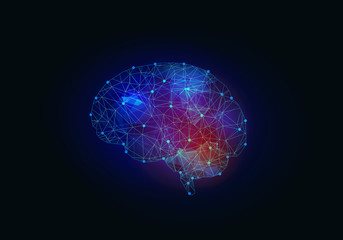 Digital human brain