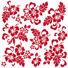 ハイビスカスのイラスト