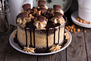 Chocolate peanut butter cake with frosting  - Powered by Adobe
