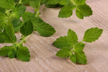 Fresh healthy lemon balm on wooden table, herbalism