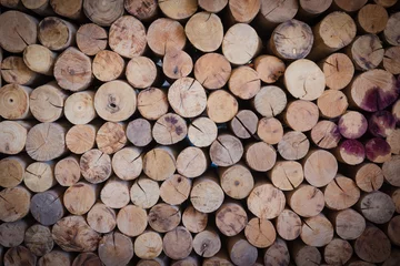 Möbelaufkleber pile of firewood background © sirawut