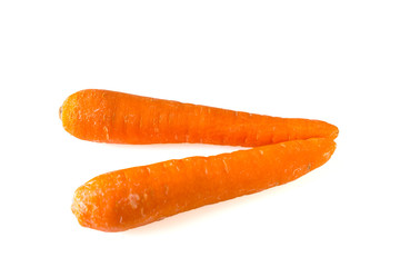 Carrot on white background