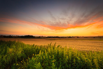 Beautiful sunset on a spring field