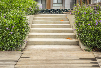 staircase with decorative plants