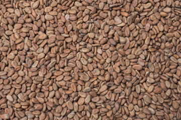 Raw cacao background