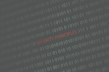 'Security principles' text in the middle of the computer screen surrounded by numbers zero and one. Image is taken in a small angle. Image has a vintage effect applied.