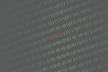 'Privacy' word in the middle of the computer screen surrounded by numbers zero and one. Image is taken in a small angle. Image has a vintage effect applied.