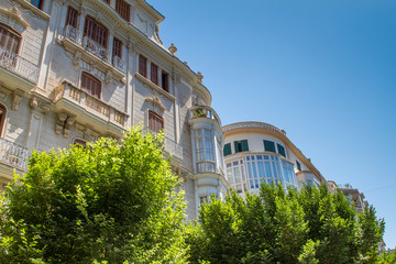Fototapeta na wymiar Trees in front of Luxury Residences on Sunny Day
