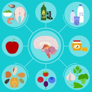 Infographics of food helpful for healthy brain