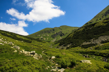 Fototapeta na wymiar Valley in Tatra mountains