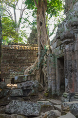 Fototapeta na wymiar Cambodia, Angkor Archaeological Park